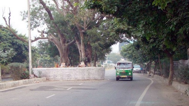Dwarka Haunted Tree (Dwarka Sector 9 Metro Station)