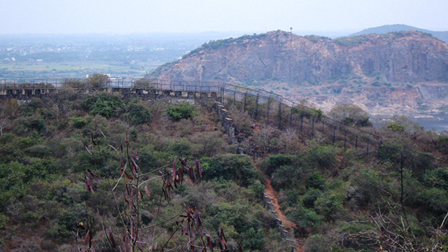 Vandalur-Reserve-Forest
