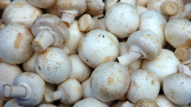 Mushrooms