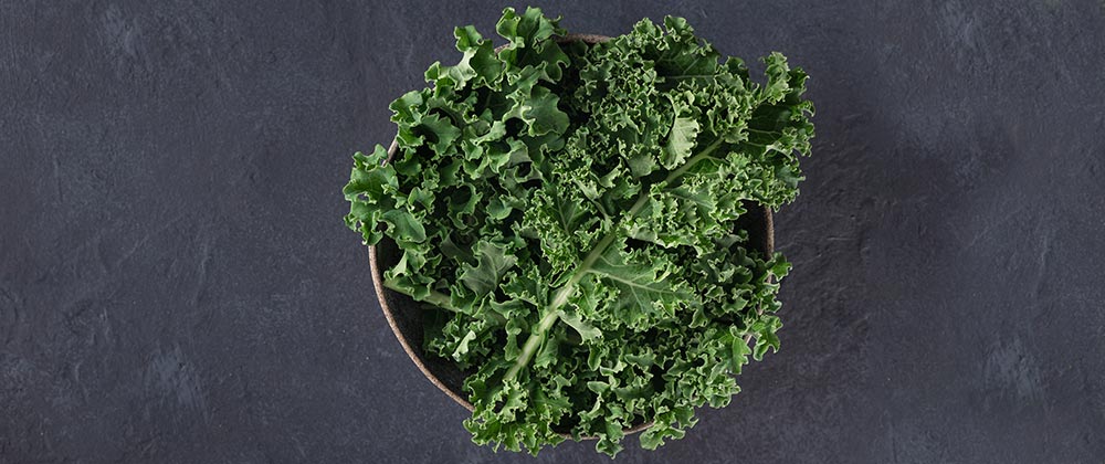 Products for All Your Kale Needs