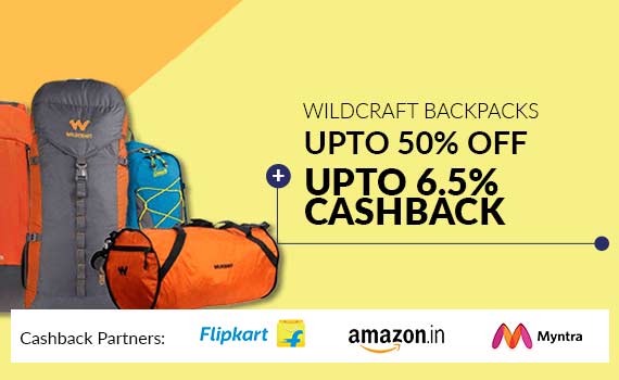flipkart sale travel bags